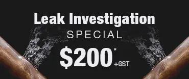 Leak Investigation Discount Greenlane